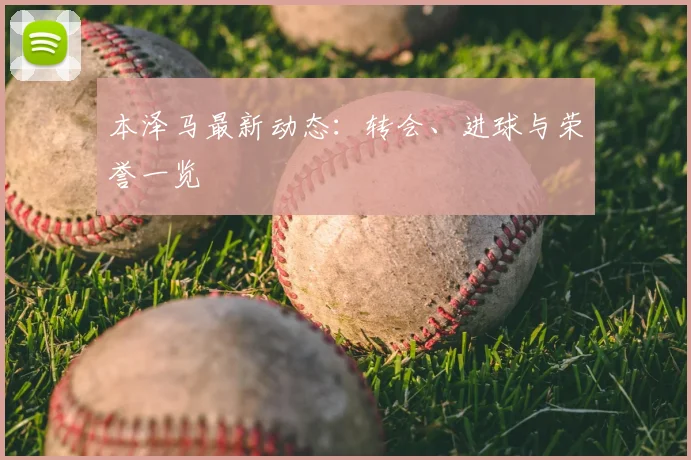 本泽马最新动态:转会、进球与荣誉一览