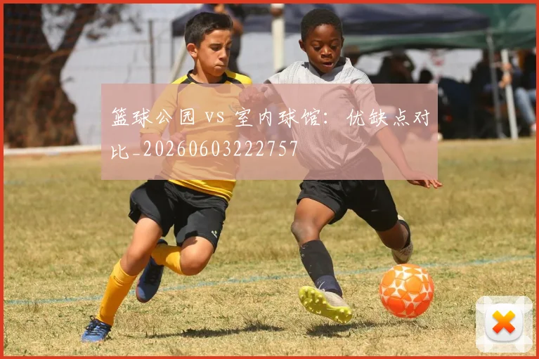篮球公园 vs 室内球馆：优缺点对比_20260603222757