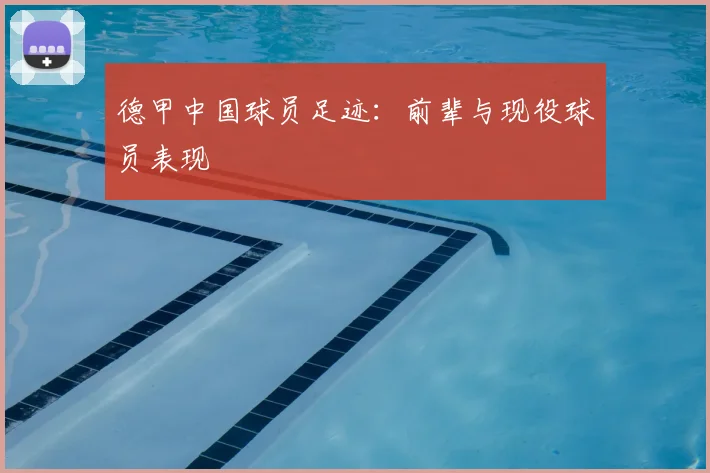 德甲中国球员足迹:前辈与现役球员表现